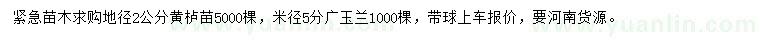 求购地径2公分黄栌苗、米径5分广玉兰
