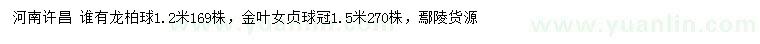 求购1.2米龙柏球、冠幅1.5米金叶女贞球