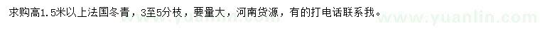 求购高1.5米以上法国冬青