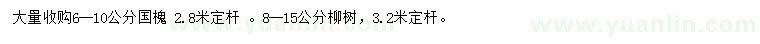 求购6-8公分国槐、12-15公分柳树