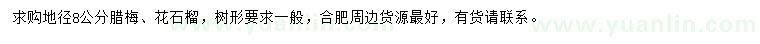 求购地径8公分腊梅、花石榴