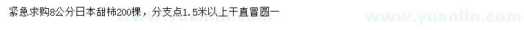 求购8公分日本甜柿