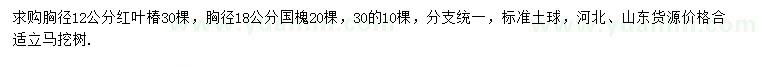 求购胸径12公分红叶椿、胸径18公分国槐