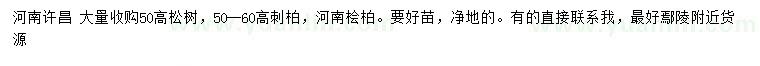 求购松树、刺柏、河南桧柏