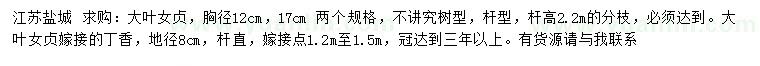 求购胸径12、17公分大叶女贞、地径8公分嫁接丁香