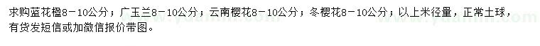 求购蓝花楹、广玉兰、云南樱花