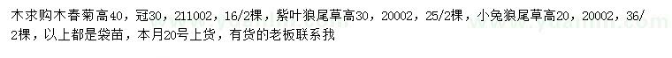 求购高40公分木春菊、20公分小兔狼尾草