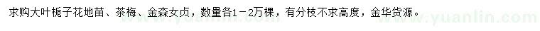 求购大叶栀子花地苗、茶梅、金森女贞