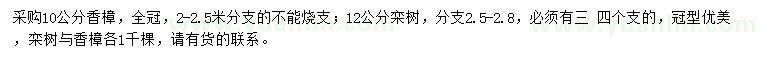 求购10公分香樟、12公分栾树