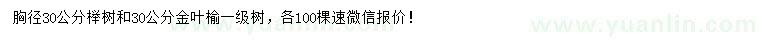 求购胸径30公分榉树、金叶榆