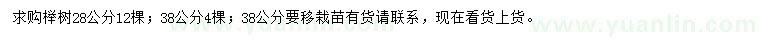 求购28、38公分榉树