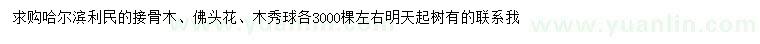 求购接骨木、佛头花、木绣球