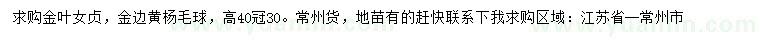 求购高40公分金叶女贞、金边黄杨毛球