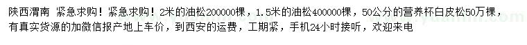 求购1.5、2米油、50公分白皮松