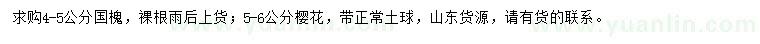 求购4-5公分国槐、5-6公分樱花