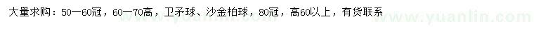 求购高60-70公分卫矛球、60公分以上沙金柏球