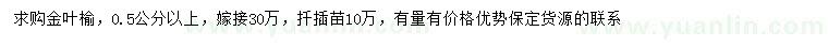 求购0.5公分以上金叶榆