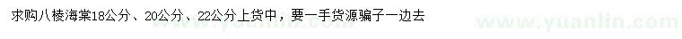 求购18、20、22公分八棱海棠