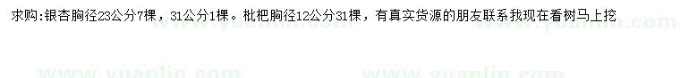 求购胸径23、31公分银杏、12公分枇杷