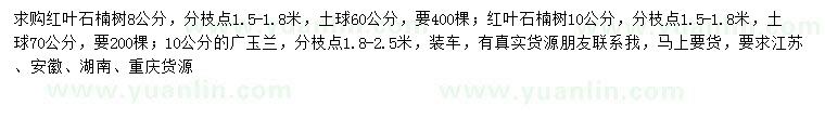 求购8、10公分红叶石楠树、10公分广玉兰