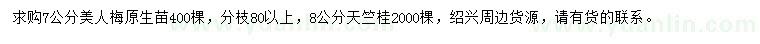 求购7公分美人梅、8公分天竺桂