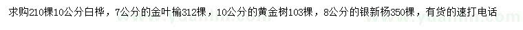 求购白桦、金叶榆、黄金树等