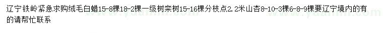 求购绒毛白蜡、栾树、山杏