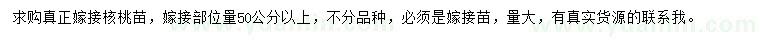 求购嫁接部位量50公分以上核桃苗