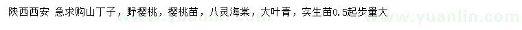 求购山丁子、野樱桃、樱桃苗