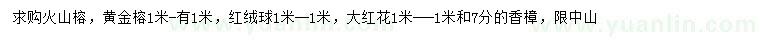 求购火山榕、黄金榕、红绒球等