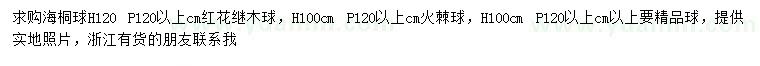 求购海桐球、红花继木球、火棘球