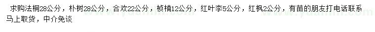 求购法桐、朴树、合欢等