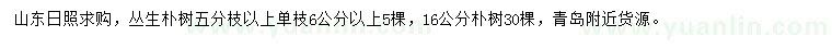 求购5分枝以上丛生朴树、16公分朴树