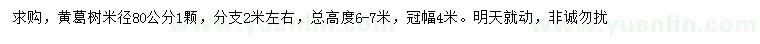 求购米径80公分黄葛树
