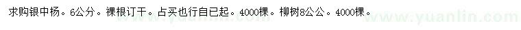 求购6公分银中杨、8公公柳树