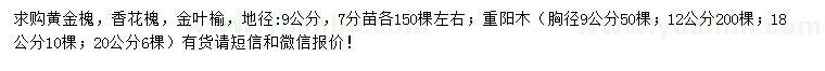 求购重阳木、皂荚树、金叶榆等