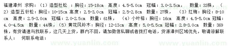 求购造型杜松、造型五针松、红梅等