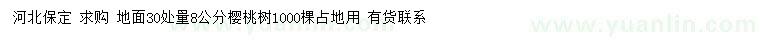 求购地面30处量8公分樱桃树