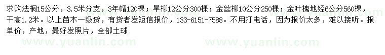 求购法桐、旱柳、金丝柳等