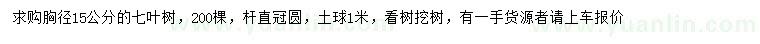 求购胸径15公分金叶国槐