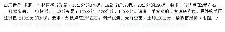 求购直径15、18、20公分水杉、18公分美国红枫