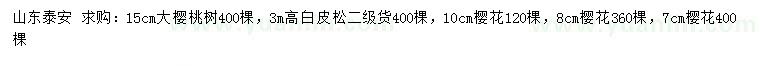 求购大樱桃树、白皮松、樱花