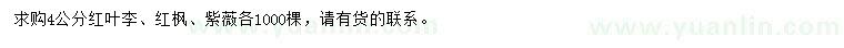 求购红叶李、红枫、紫薇