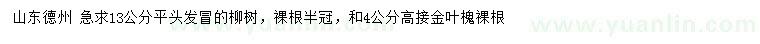 求购13公分柳树、4公分高接金叶槐