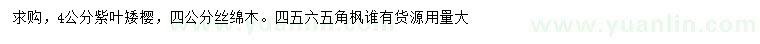 求购4公分紫叶矮樱、丝绵木