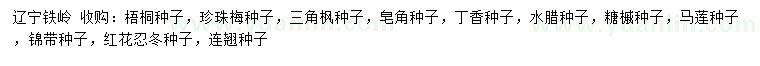 求购梧桐种子、珍珠梅种子、三角枫种子等