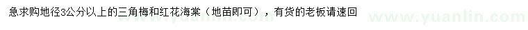 求购地径3公分以上三角梅、红花海棠