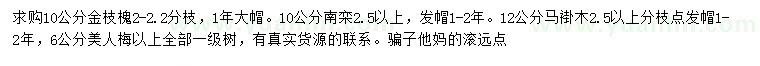 求购金枝槐、南栾、马褂木