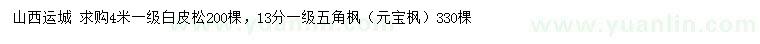 求购白皮松、五角枫、元宝枫