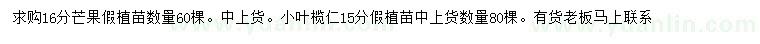 求购16公分芒果、15公分小叶榄仁